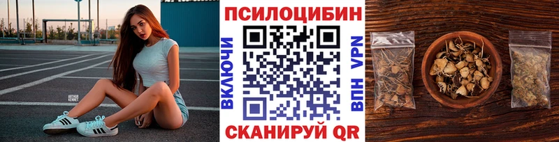 Галлюциногенные грибы GOLDEN TEACHER  как найти наркотики  нарко площадка как зайти  Пудож 